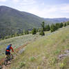 Heading toward Big Timber Creek and the core of the Lemhi Mountains.