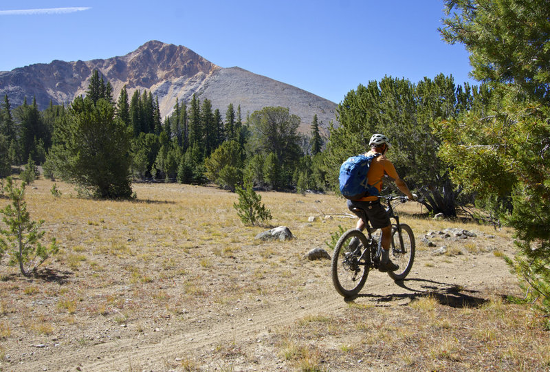 Rolling in front of majestic Yellow Peak.