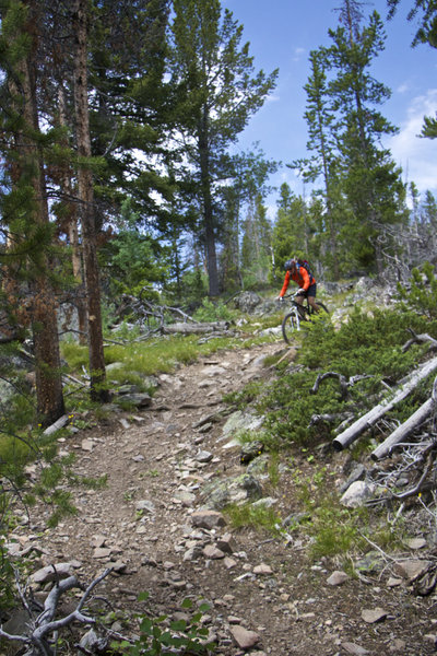 Descending through a few rocks on Big Timber Creek Trail.