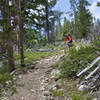 Descending through a few rocks on Big Timber Creek Trail.