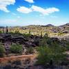 The top of National East where Mormon Loop Climb and National intersect. Getting ready to go down!