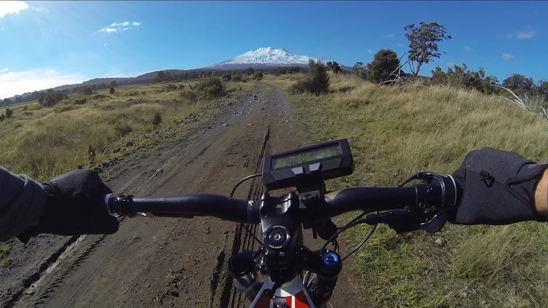 The mighty Mt Ruapehu is the reason Rangataua Forest slopes from north to south.