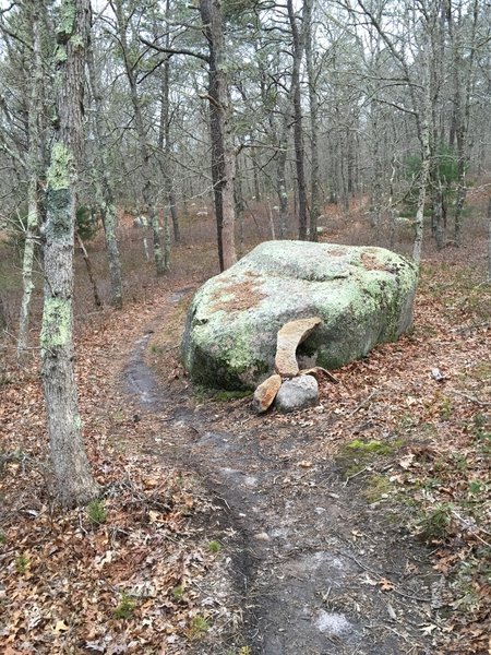 One of the many Tombstones to ride over.