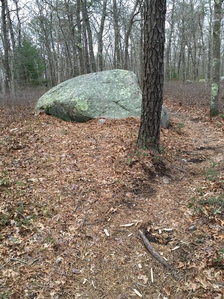 One of the many Tombstones to ride over.