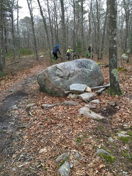 One of the many Tombstones to ride over.