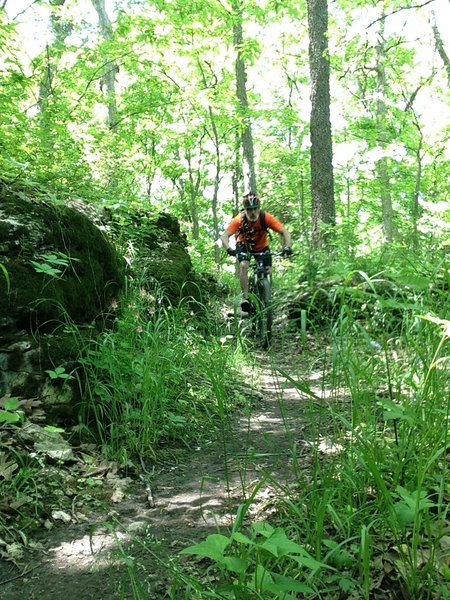 An easy section of this tough trail. There are MANY opportunities to play ON the rocks!