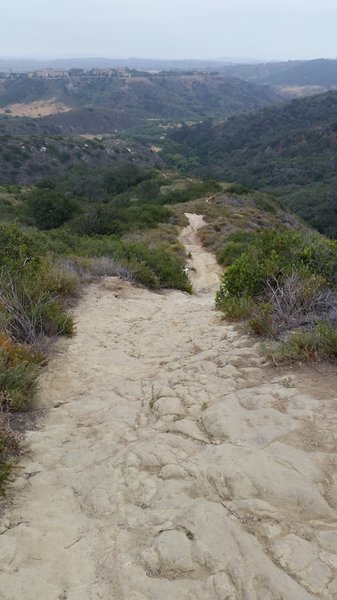 The view from the top of the steep rock garden is great!