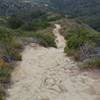 The view from the top of the steep rock garden is great!