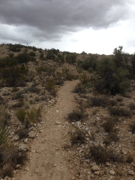 Singletrack on Rust Bucket descent.