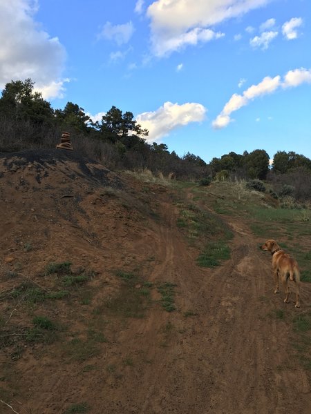 Sugar Trail connecting with Horse Gulch road or begin of climb to Skyline.