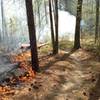 Mississippi Forrestry Commission did a controlled burn on about 3 miles of the trail. Most of the burned area is on the trail section called 357. They did a fantastic job at protecting our wooded features. These controlled burns help protect against more damaging fires.