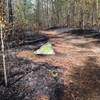 A shot showing how carefully the Mississippi Forrestry Commission was during the controlled burn.