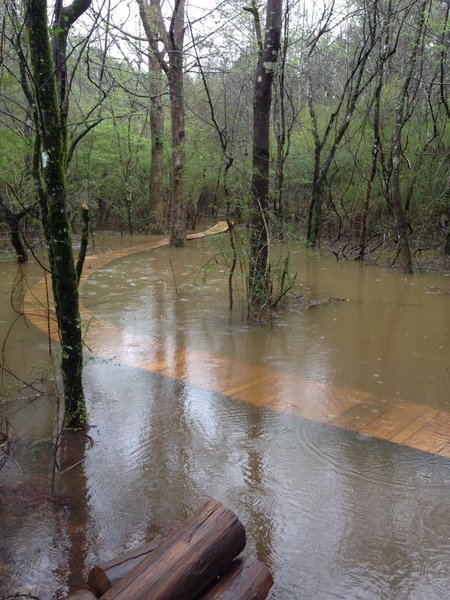 This is a photo of "Soggy Bottom" during one of the heavy rain storms that led to this flooding.  The local trail crew had to repair bridges several times this winter from the flooding.  They are the best.