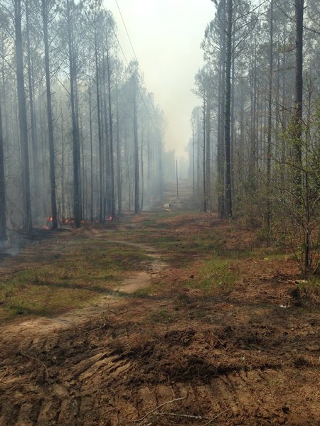 The dirt berm section at the power lines. This shot is during the controlled burn.