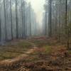 The dirt berm section at the power lines. This shot is during the controlled burn.