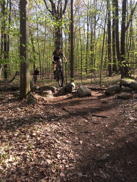 There trail winds across several small stone walls.