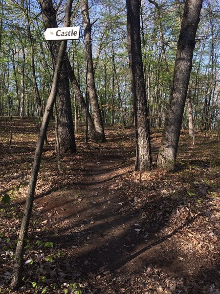 Near the top of the climb to the castle. Straight ahead to continue the loop or left to view the castle. The Castle Trail is a smooth singletrack with some fun twists. It can be climbed or ridden down in the opposite direction for a faster flowy ride.