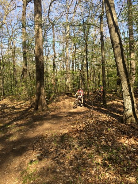 About half way down the hill turn right onto the singletrack.