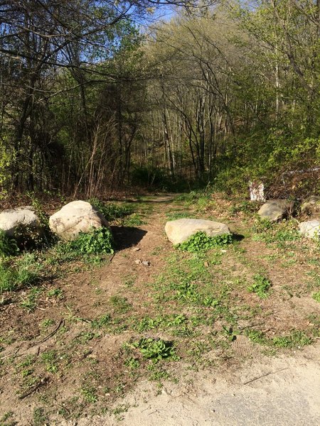 Trail entrance from back of Plugs Beach parking lot. This trail connects to the Winekenni parking lot at the bottom of the castle road.