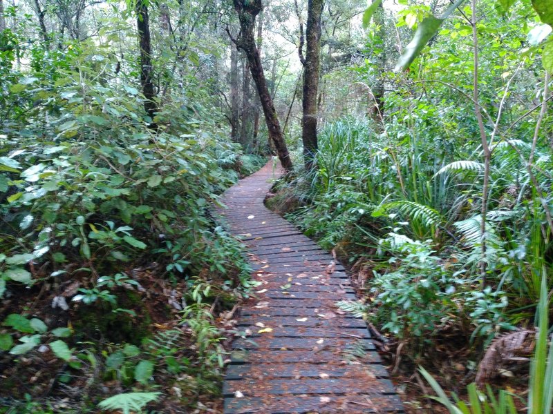 A boardwalk adds to the beauty of Jubilee Park, right in the heart of Ohakune.