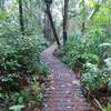 A boardwalk adds to the beauty of Jubilee Park, right in the heart of Ohakune.