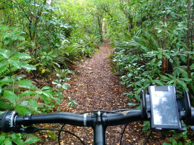 It's beautiful scenery all the way through Jubilee Park, Ohakune.