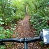 It's beautiful scenery all the way through Jubilee Park, Ohakune.