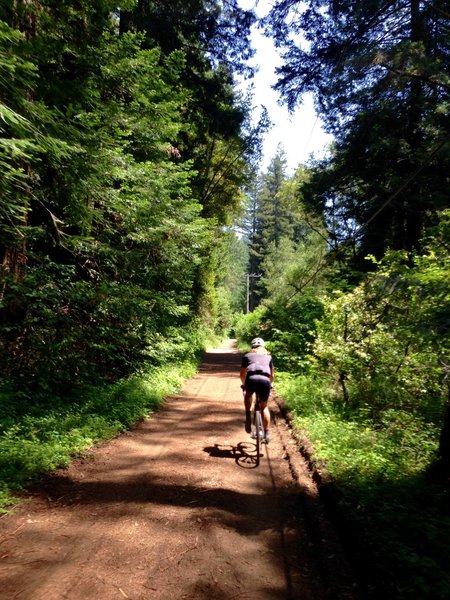 Cross Marin Trail.