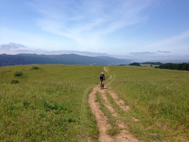 Descending old doubletrack/cow trail with Tomales Bay in the background