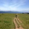 Descending old doubletrack/cow trail with Tomales Bay in the background