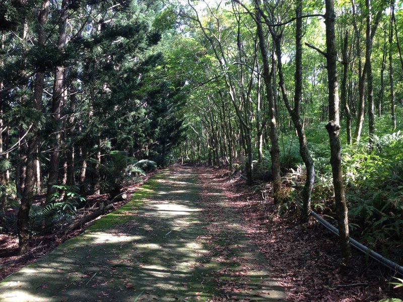 Old roads are part of the trail.