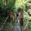 Suspension bridge.