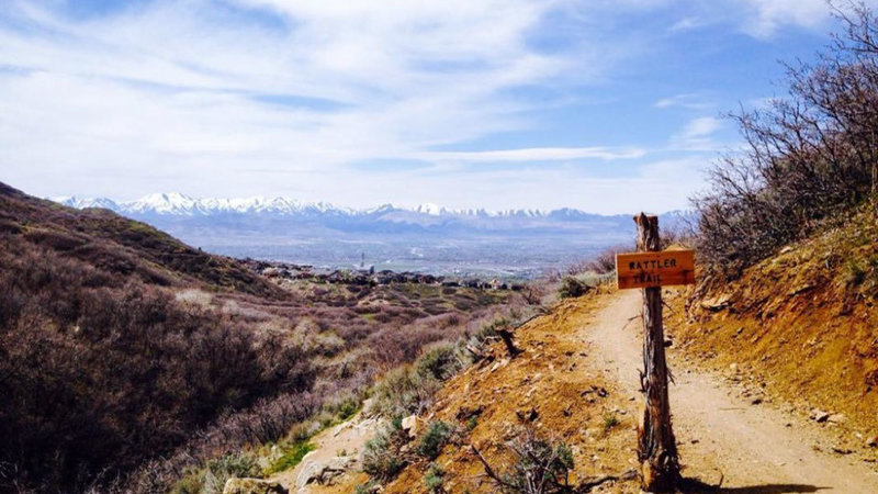 Looking down Canyon, with Rattler Trail Sign.