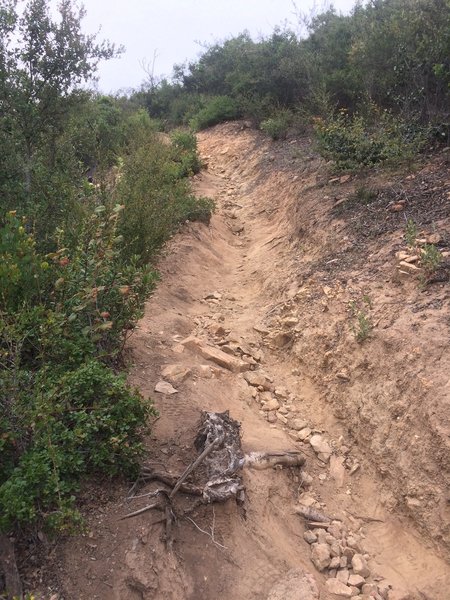 Hike-a-bike continues to get worse. There is more trail but not fun for bikes.