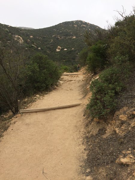 Typical of most of the trail.