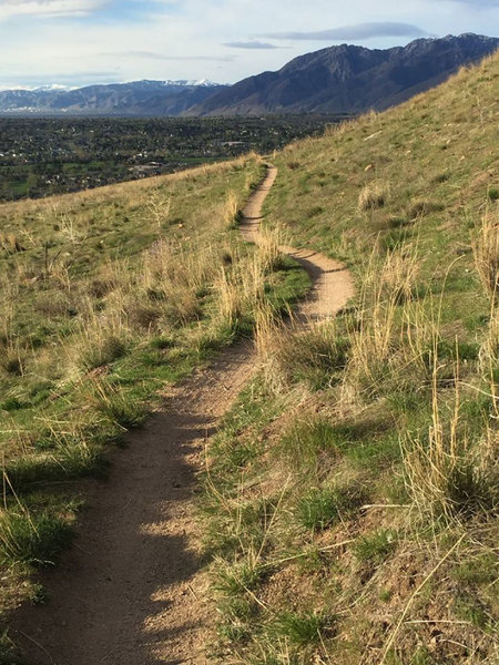 Corner Canyon south facing trails.