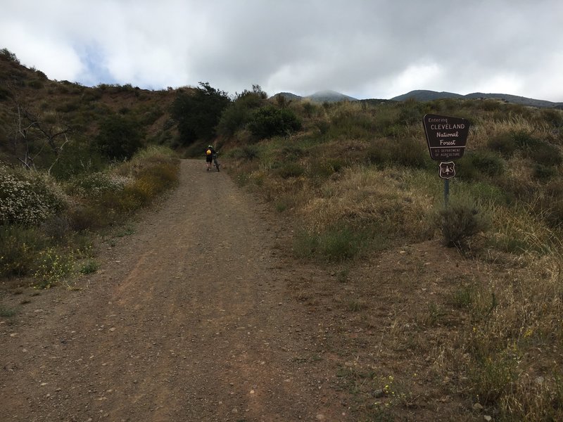 Entering Cleveland NF towards the beginning of Harding.