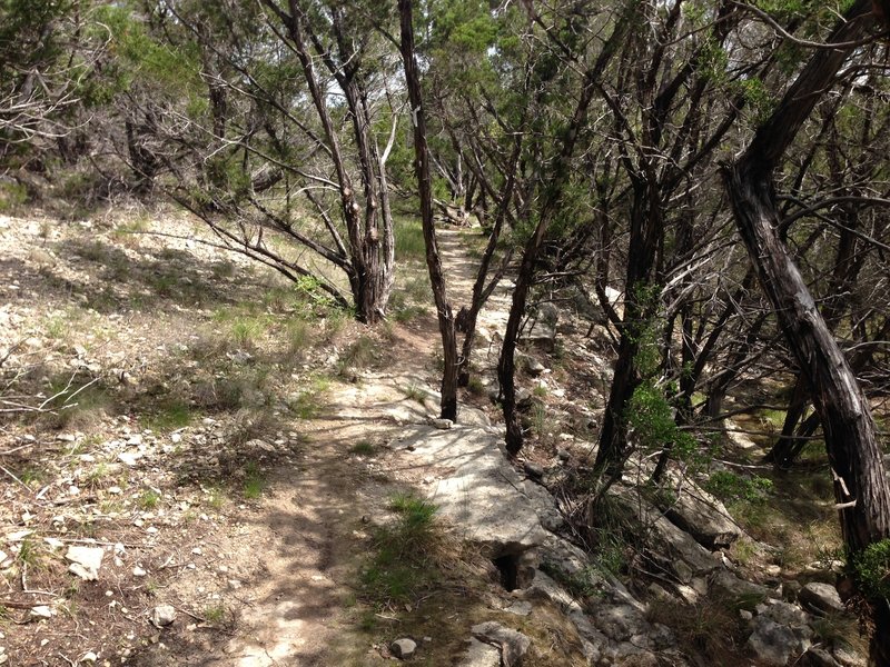 Riding the rim on the Juniper Ridge trail.