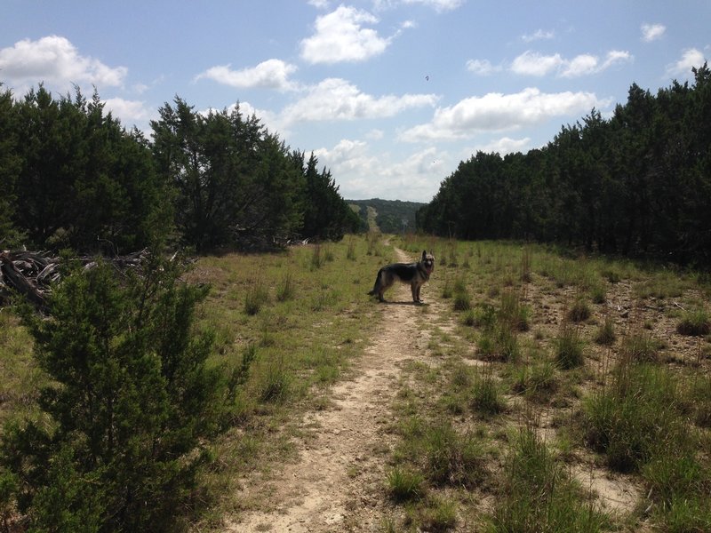 Finally a bit of smooth trail with no rock garden!