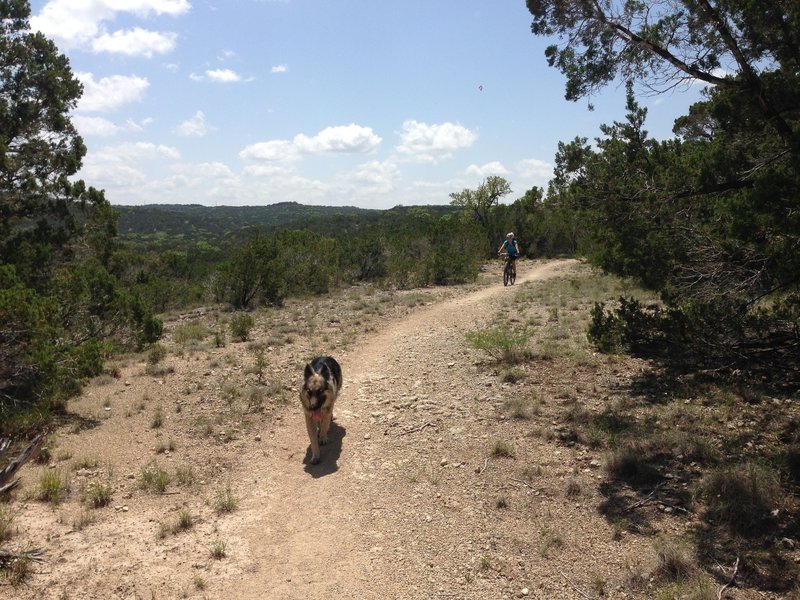 Stunning views can be had from this ridge!