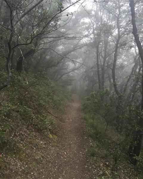 Heading up Holy Jim with some drizzle and heavy fog to cool me down!