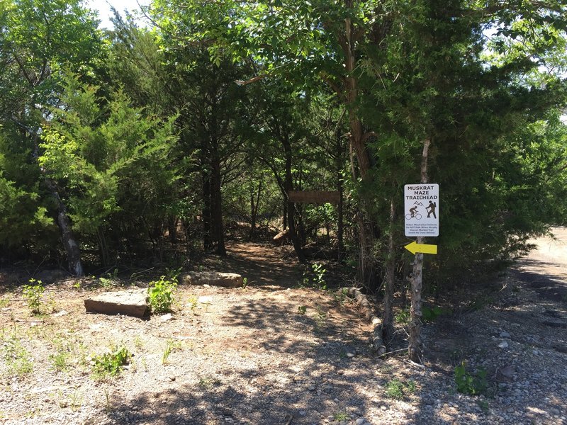 Trail entrance for the Muskrat Maze!