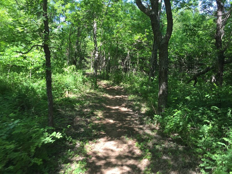 The shaded sections of trail are a welcome relief when the sun is beating down.