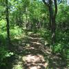 The shaded sections of trail are a welcome relief when the sun is beating down.