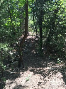 Nice rocky rollers on Scorpion Strut.