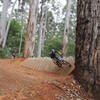 Relentless Blue - Pemberton, Karri forest, absolutely stunning vista.