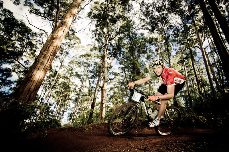 Berm off the top of the hill. Magnificent Karri forest.