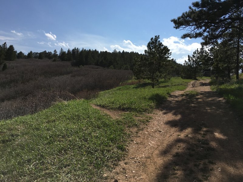 Intersection of Manor House (doubletrack) and Shaffer Trail to the left.