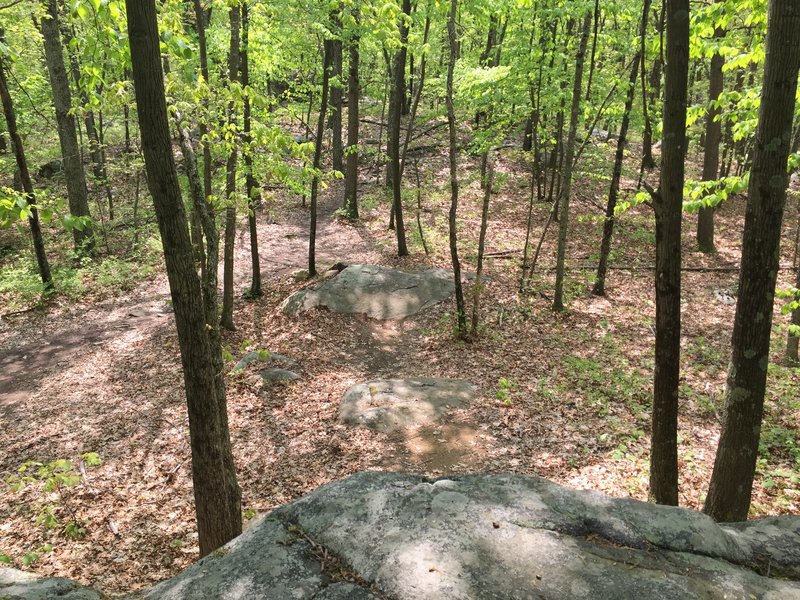 Roller drop in on the DLS trail.