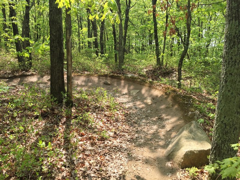 The DLS Trail has great berms through the trees.